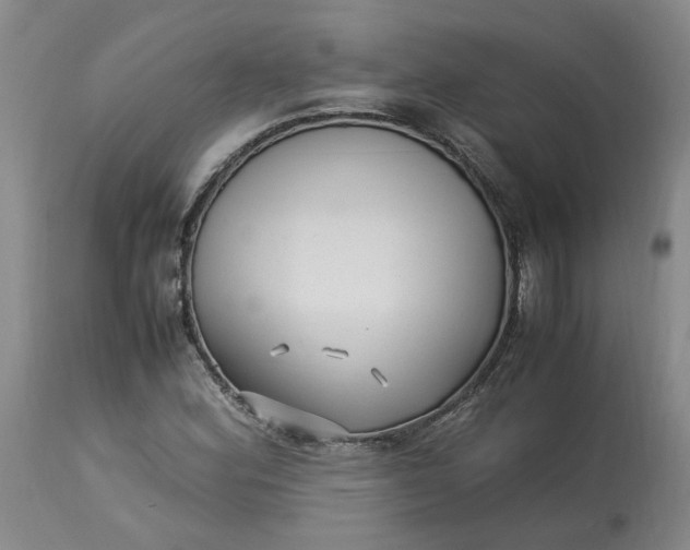 X0000113221164200910011337