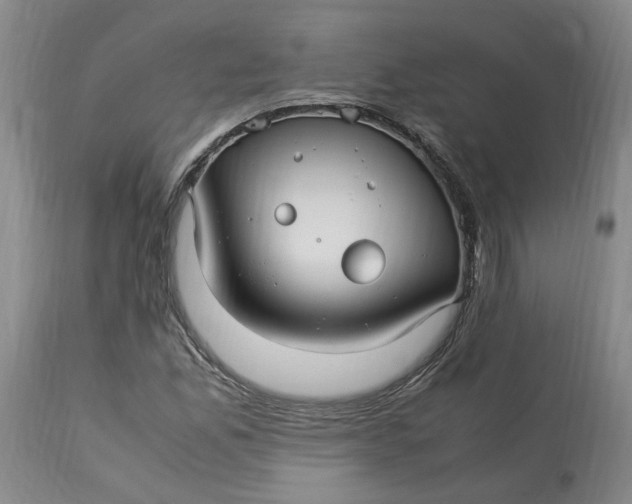 X0000113221165200910011337