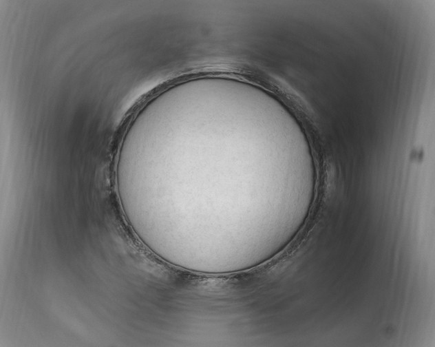 X0000113221166200910011337