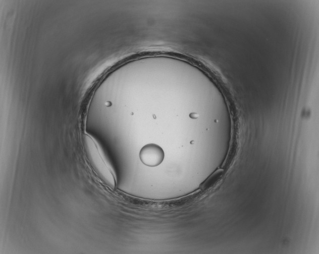 X0000113221167200910011337