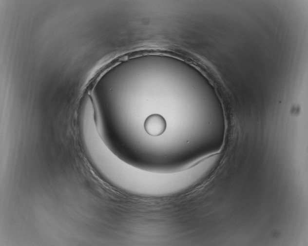 X0000113221168200910011337