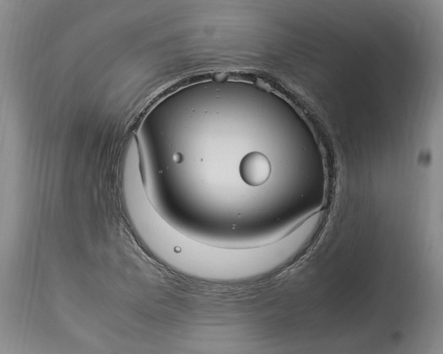 X0000113221169200910011337