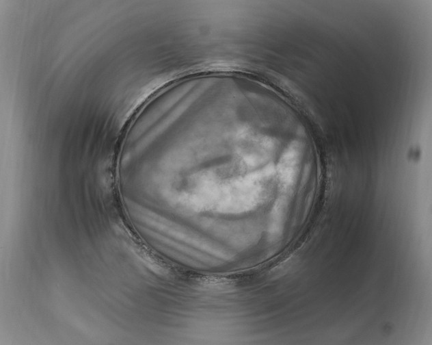 X0000113221170200910011337