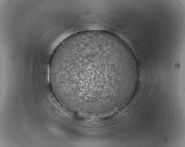 X0000113221171200910011337