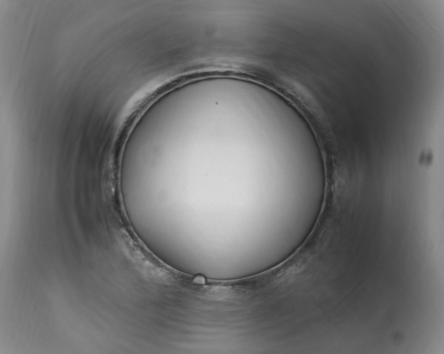 X0000113221172200910011337