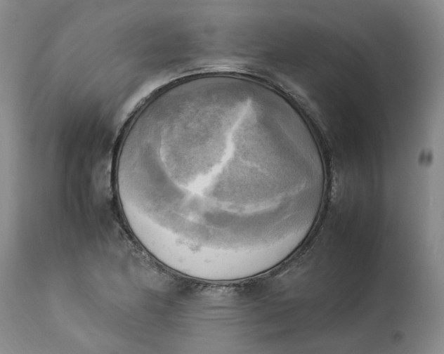 X0000113221174200910011337