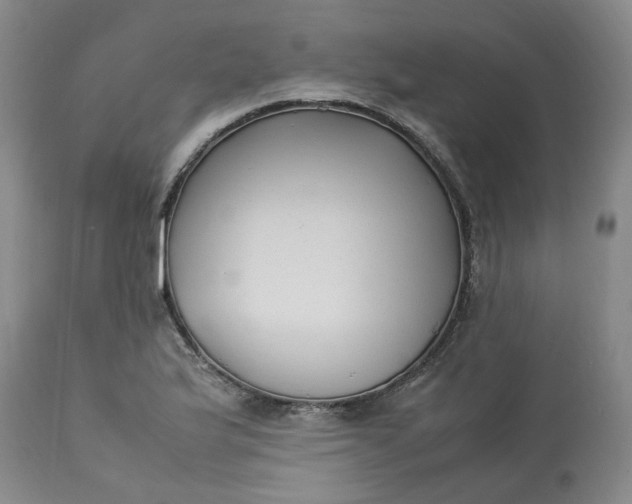 X0000113221175200910011337