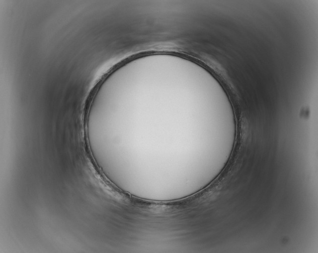 X0000113221176200910011337