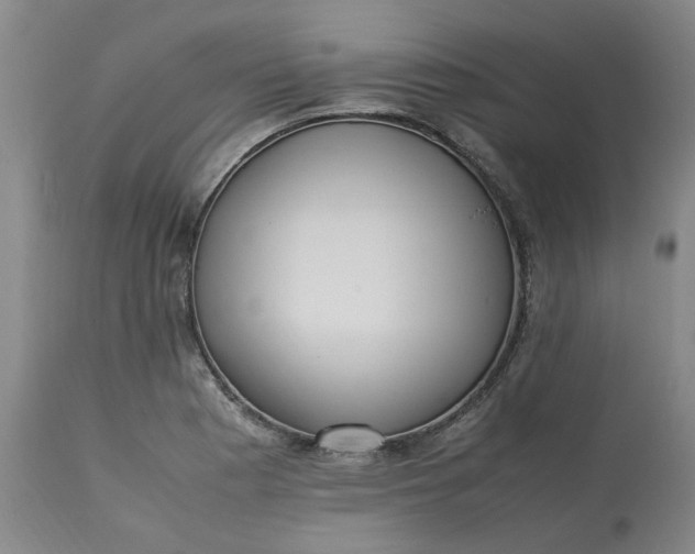 X0000113221177200910011337