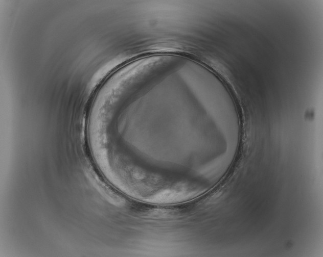 X0000113221179200910011337