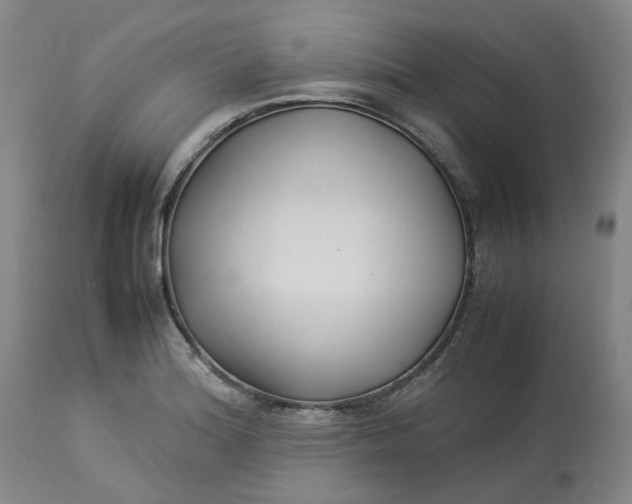 X0000113221180200910011337