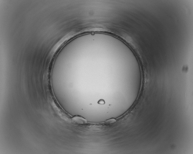 X0000113221181200910011337