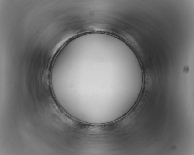 X0000113221182200910011337