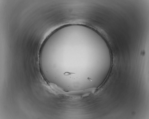 X0000113221184200910011337