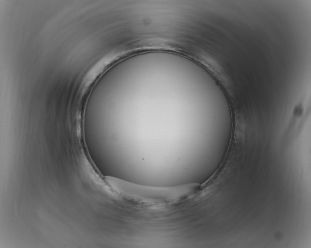 X0000113221188200910011337