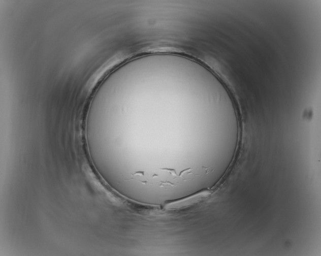 X0000113221189200910011337