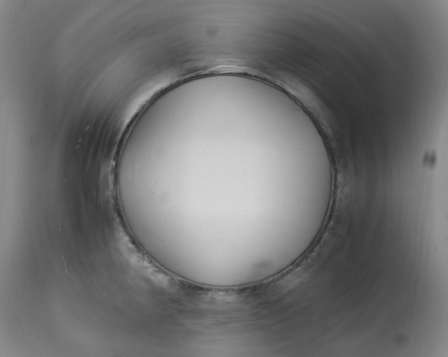 X0000113221190200910011337