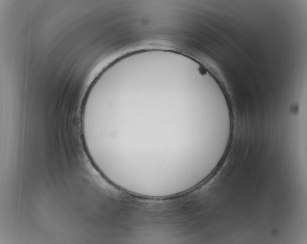 X0000113221192200910011337