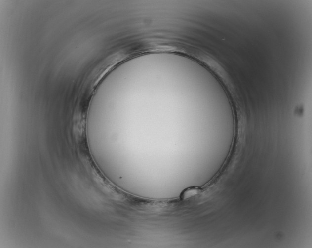 X0000113221193200910011337