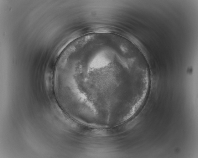 X0000113221194200910011337