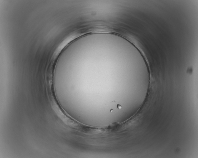 X0000113221195200910011337