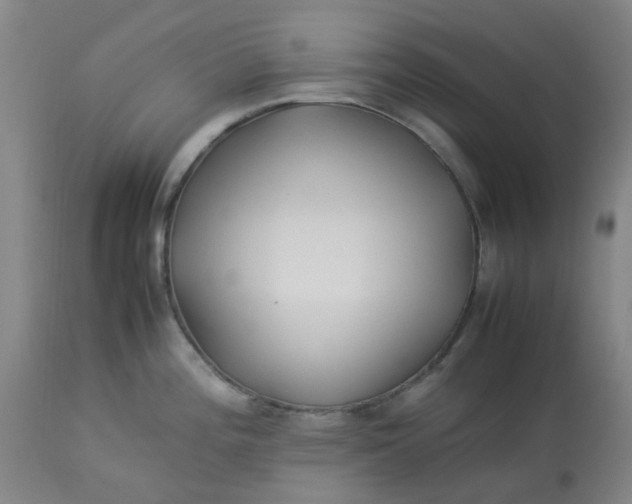 X0000113221196200910011337