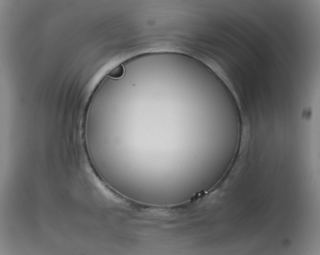 X0000113221197200910011337