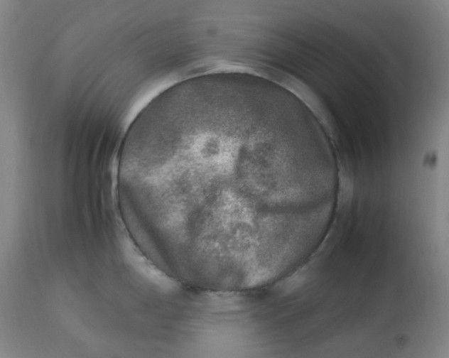 X0000113221198200910011337