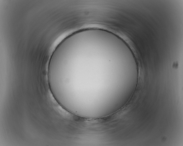 X0000113221199200910011337