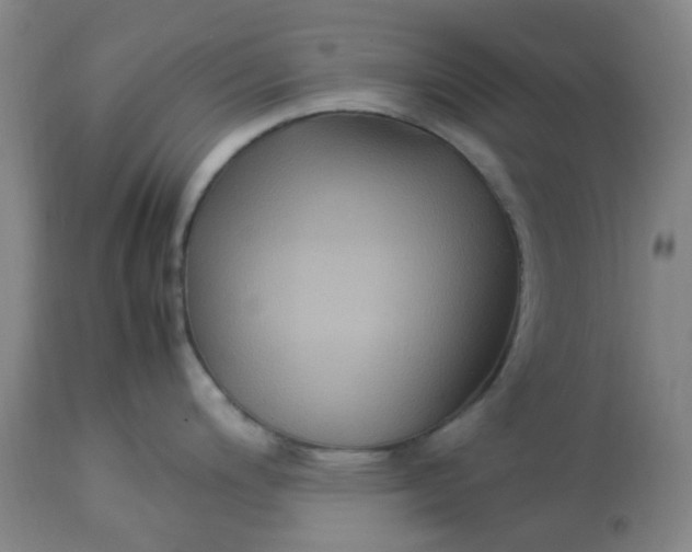 X0000113221200200910011337