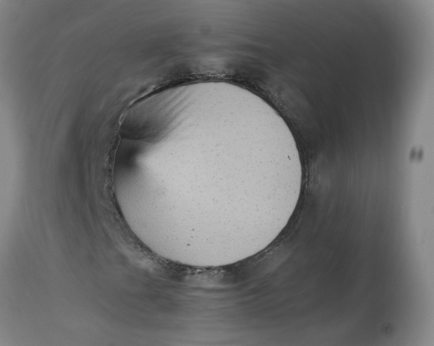 X0000113221201200910011336