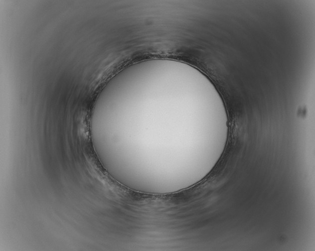 X0000113221202200910011336