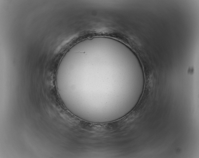 X0000113221205200910011336