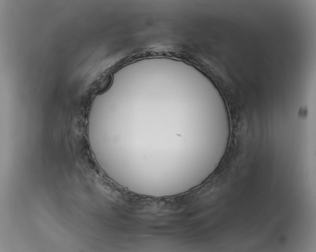 X0000113221207200910011336