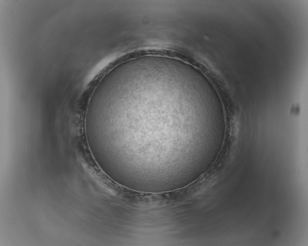 X0000113221208200910011336