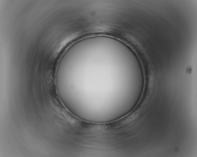 X0000113221210200910011336