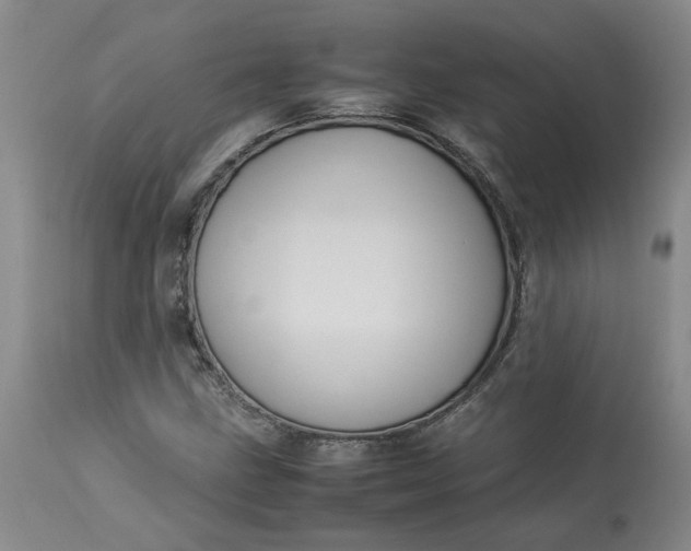 X0000113221211200910011336