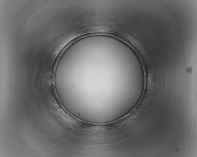 X0000113221212200910011336