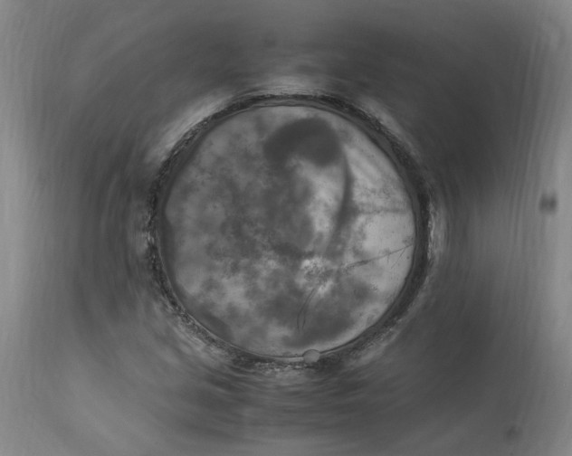 X0000113221213200910011336