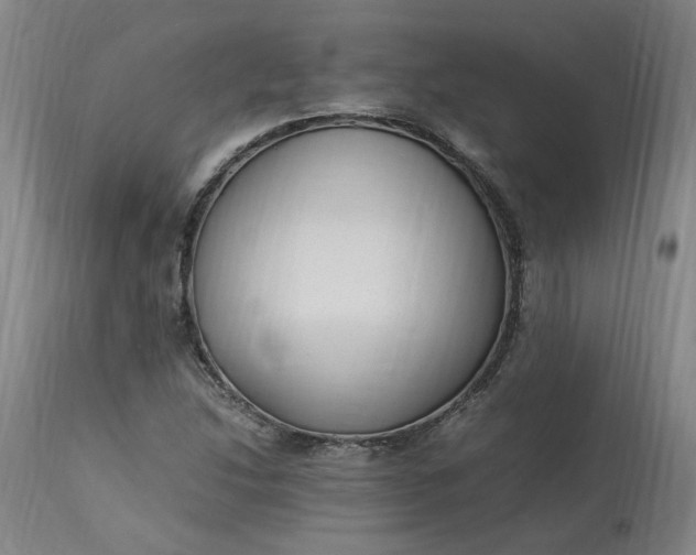 X0000113221214200910011336