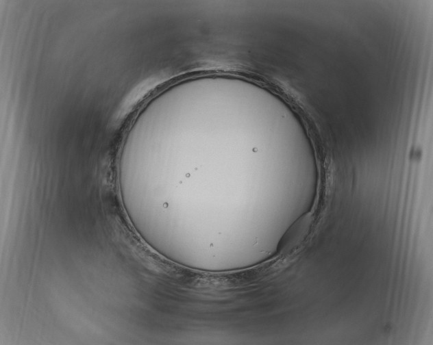 X0000113221215200910011336