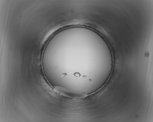 X0000113221216200910011336