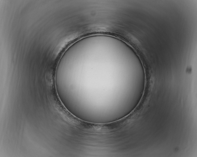 X0000113221218200910011336