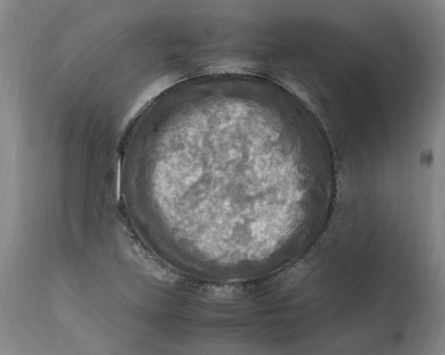 X0000113221219200910011336