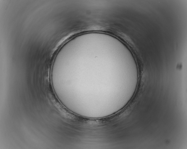 X0000113221220200910011336