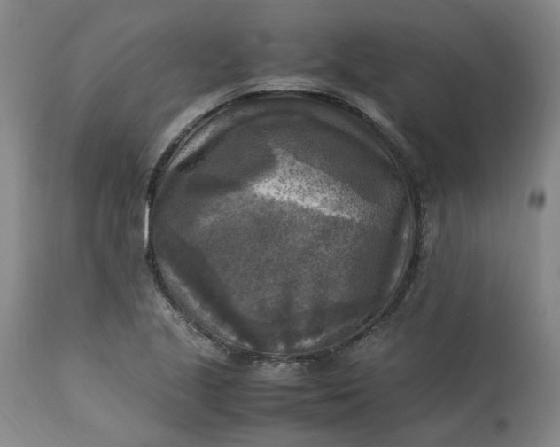 X0000113221221200910011336