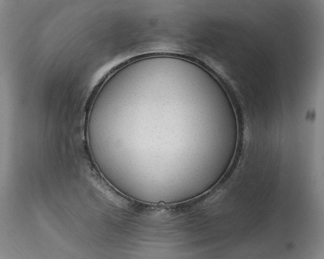 X0000113221222200910011336