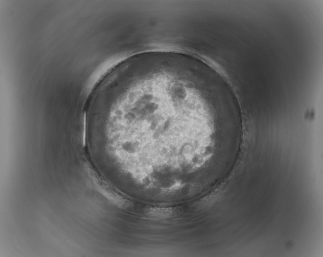 X0000113221223200910011336