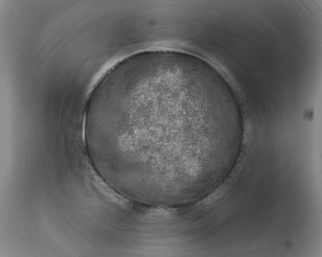 X0000113221224200910011337