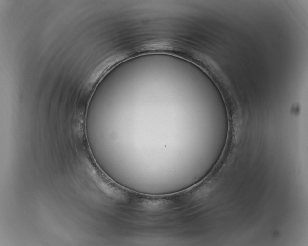 X0000113221225200910011337